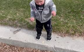 Toddler Trips While Attempting To Walk Ahead