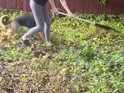 Dog Grabs Garden Rake From Womans Hand & Runs Away