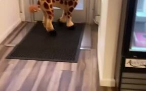 Talented Dog Groomer Makes Dog Look Like Giraffe