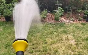Pet Dog Gets Excited Over Water From Water Hose - Animals - Videotime.com