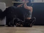 Adorable Dog Hugs Their Owner On Seeing Them Sad