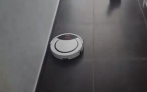 Little Cat Gets Scared of Robotic Vacuum Cleaner - Animals - VIDEOTIME.COM