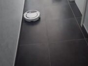 Little Cat Gets Scared of Robotic Vacuum Cleaner