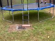 Dog Knocked Down Following Funny Trampoline Fail