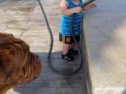 Kid Can't Stop Giggling While Playing With His Dog