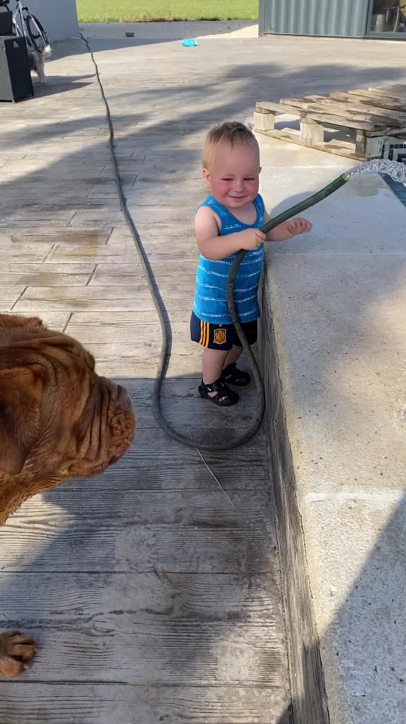Kid Can't Stop Giggling While Playing With His Dog
