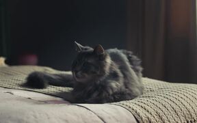 A Man Called Otto Official Trailer - Movie trailer - VIDEOTIME.COM