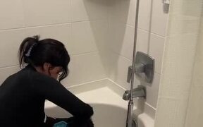 Woman Has Hard Time Bathing Reluctant Cat - Animals - VIDEOTIME.COM