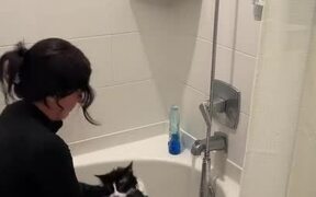 Woman Has Hard Time Bathing Reluctant Cat