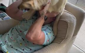Dog Gets Super Excited to Meet Its Favorite Human - Animals - VIDEOTIME.COM
