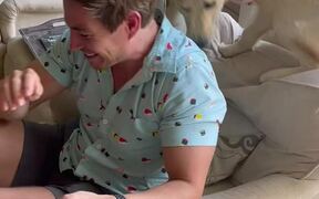 Dog Gets Super Excited to Meet Its Favorite Human - Animals - VIDEOTIME.COM