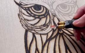 Artist Creates Beautiful Owl