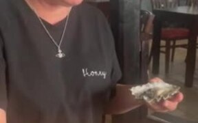 Woman Regrets To Eat A Plate Full Of Oysters - Fun - VIDEOTIME.COM
