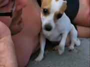 Dog Cuddles Up To Owner's Face