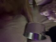 Dog Gets Excited on Seeing New Saucepan