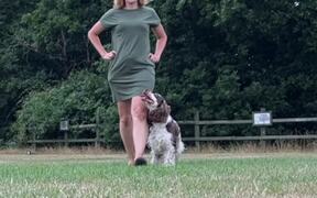 Woman Dancing With Dog at the Park - Animals - VIDEOTIME.COM