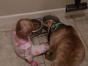 Mom Finds Baby Girl Feeding Dog Food to Pet Dog