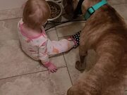 Mom Finds Baby Girl Feeding Dog Food to Pet Dog