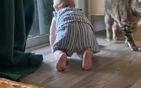 Baby Laughs and Chases Pet Cat Across Room