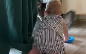 Baby Laughs and Chases Pet Cat Across Room - Animals - VIDEOTIME.COM