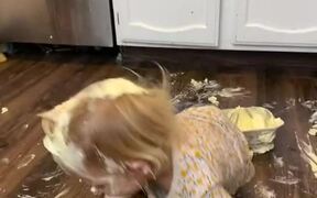 Toddler Playfully Puts Butter All Over Body - Kids - VIDEOTIME.COM