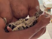 Kitten Falls Asleep in Owner's Arms