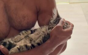 Kitten Falls Asleep in Owner's Arms - Animals - VIDEOTIME.COM