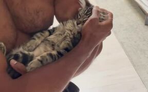 Kitten Falls Asleep in Owner's Arms - Animals - VIDEOTIME.COM