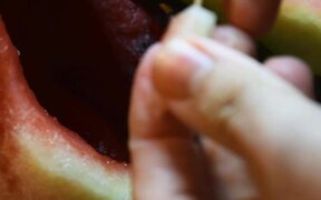 Fruit Sculptor Carves VENOM into a Watermelon - Fun - VIDEOTIME.COM