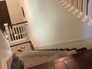 Grey Parrot Throws Empty Bottle Down Stairs