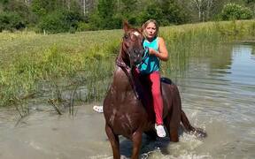 Horse Accidentally Head-Butts Girl - Animals - VIDEOTIME.COM