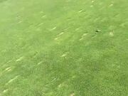 Man Hits Golf Ball And It Gets Stuck In Golf Club