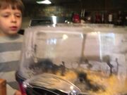 Young Brothers Excitedly Watch Popcorn Kernels Pop