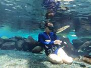Woman Feeds Small Fishes to Eels Underwater