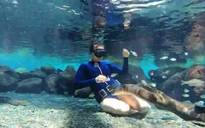 Woman Feeds Small Fishes to Eels Underwater - Animals - Videotime.com