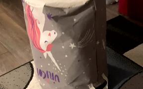 Happy-go-lucky Little Girl Hides In A Laundry Bag - Kids - VIDEOTIME.COM