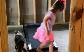 Cat Walks on Treadmill with Little Girl - Animals - VIDEOTIME.COM