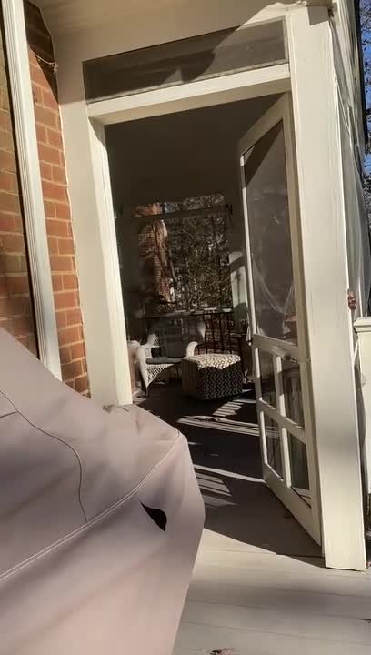 Person Rescues Hawk Stuck Inside Her Patio
