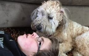 Dog Hits Owner on His Nose When He Stops Petting - Animals - VIDEOTIME.COM