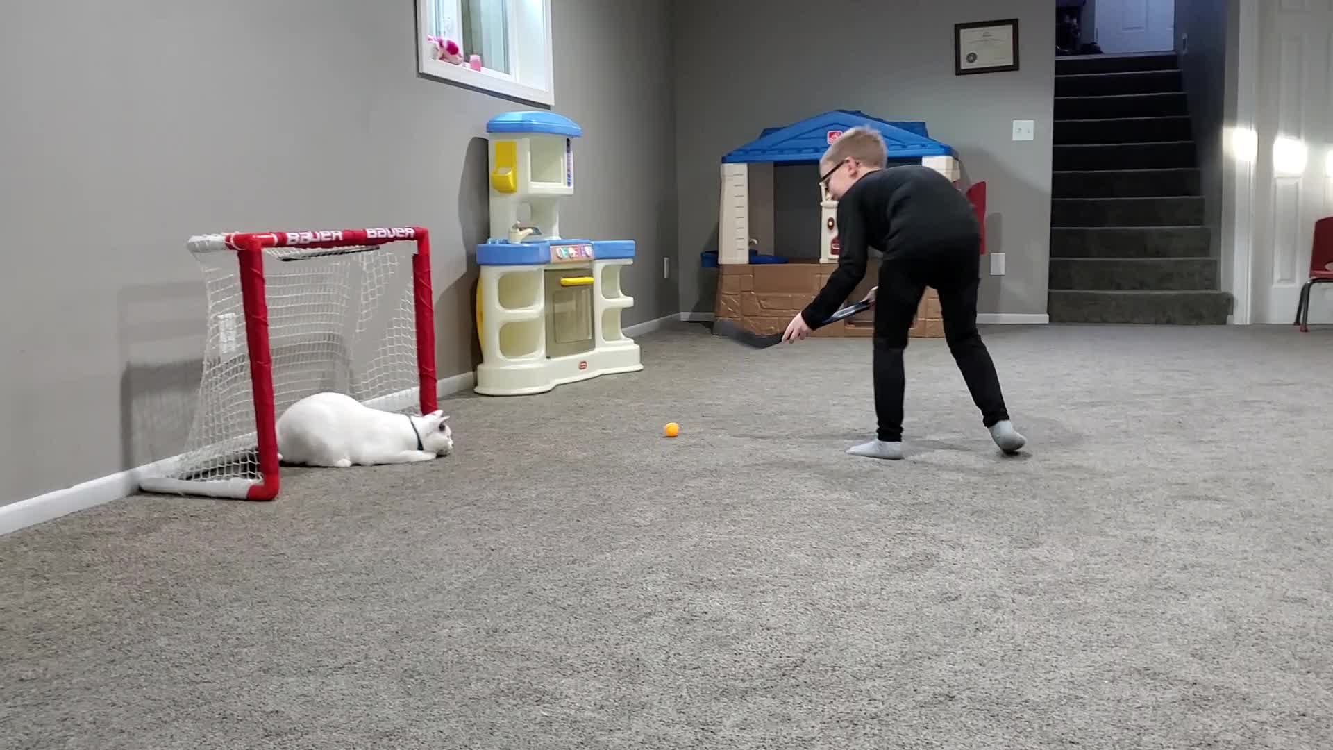 Goalie Cat Restricts Kid From Making Goal