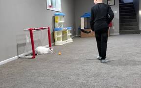 Goalie Cat Restricts Kid From Making Goal
