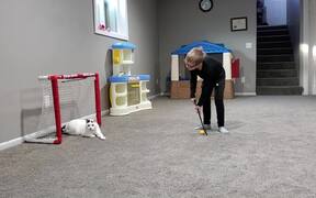 Goalie Cat Restricts Kid From Making Goal - Animals - VIDEOTIME.COM