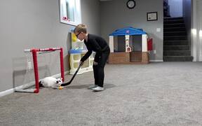 Goalie Cat Restricts Kid From Making Goal - Animals - VIDEOTIME.COM