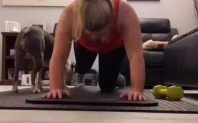 Pet Dog Interrupts Woman’s Exercise Routine