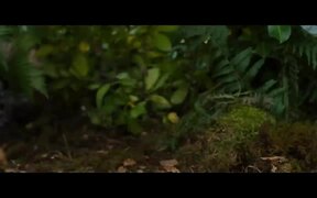 Cocaine Bear Trailer - Movie trailer - VIDEOTIME.COM