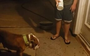 Uncle Scares Girl While She Feeds Dog - Fun - VIDEOTIME.COM