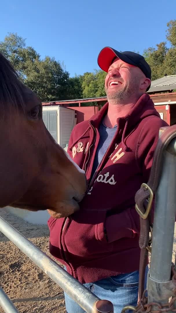 Horse Plays With Zipper on Man’s Hoodie