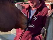 Horse Plays With Zipper on Man’s Hoodie