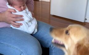 Dog Welcomes Newborn Baby Home - Animals - VIDEOTIME.COM