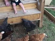 Toddler Adorably Feeds Chickens